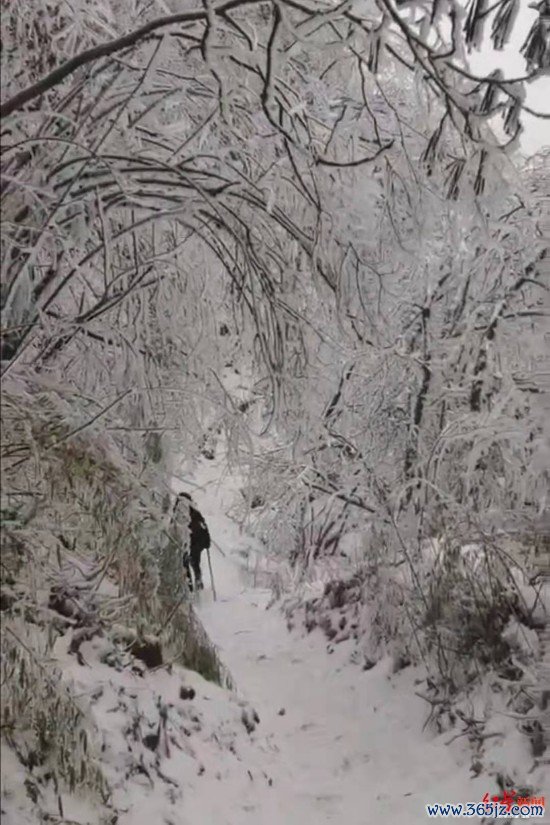 ▲冰雪掩盖的九峰山 图据微博网友@茶色曼茶罗